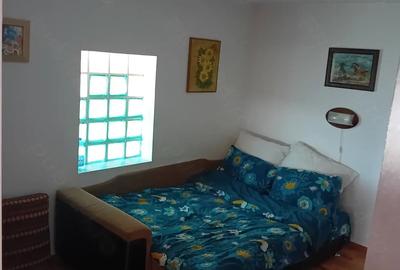 Casă cu 3 camere cu Teren 3500 Mp în Central