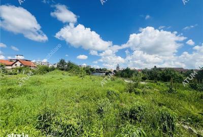 Teren de 5595 mp, în Turnișor