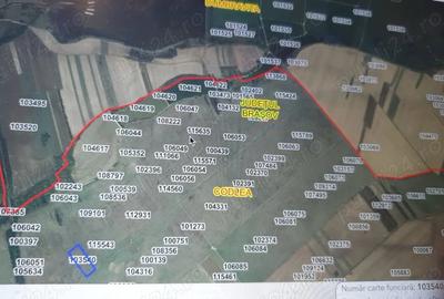 Teren de 14200 mp, în Central