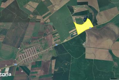 Teren de 480000 mp, în Vladimirescu - 5