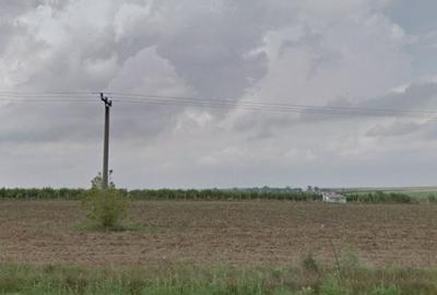 Teren Construcții extravilan de 25000 mp, în Mihail Kogălniceanu - 5
