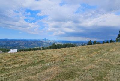 Teren în Poiana Mărului - 2
