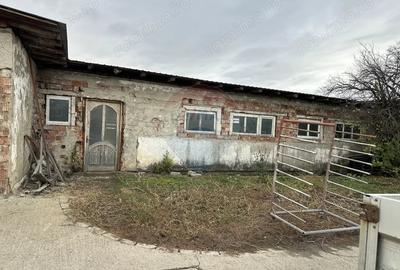 Spațiu comercial, de 433 mp, în Izvoare (Dumbrava Roșie) - 2
