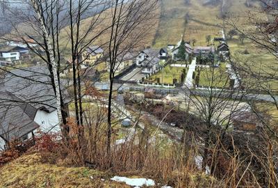 Teren Construcții intravilan de 4318 mp, în Șimon - 28
