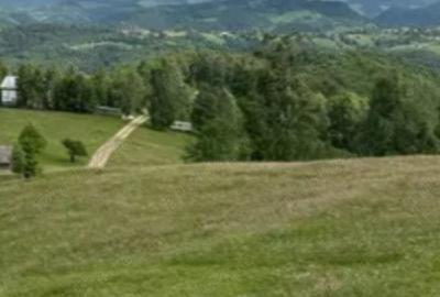 Teren de 8700 mp, în Bran - 10