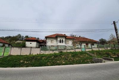 Casă cu 6 camere cu Teren 7000 Mp în Central