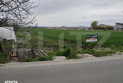 Teren de 8600 mp, în Podgoria