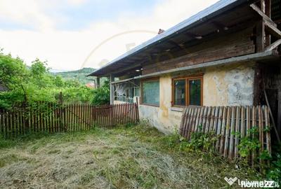 Casă cu 3 camere cu Teren 4696 Mp în Central