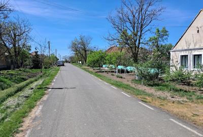 Casă cu 1 camere cu Teren 2676 Mp în Vălcani - 6