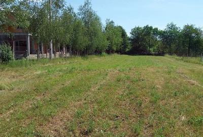 Teren de 12500 mp, în Drajna