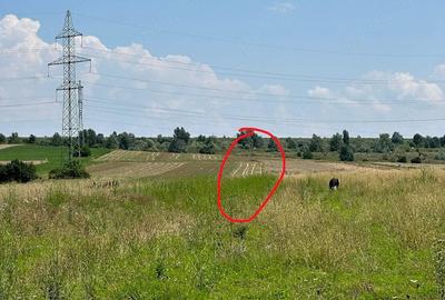 Teren de 8800 mp, în Central
