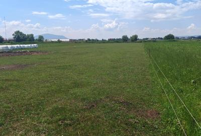 Teren Construcții intravilan de 5000 mp, în Bod - 3