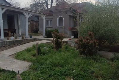 Teren de 4650 mp, în Vârvor - 1