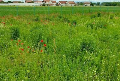 Teren Construcții intravilan de 837 mp, în Stupini - 1