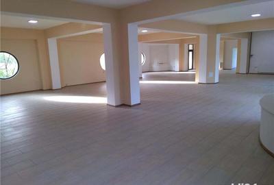 Spațiu comercial, de 450 mp, în Central - 6