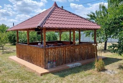 Casă individuală cu 2 camere cu Teren 4500 Mp în Ionești - 6