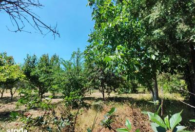 Teren de 10110 mp, în Valu lui Traian - 18