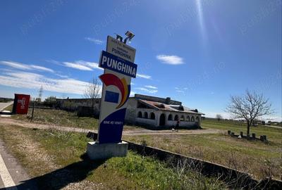 Spațiu comercial, de 1,000 mp, în Punghina - 6