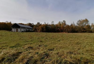 Teren agricol extravilan de 13000 mp, în Sohodol - 6
