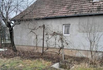 Casă cu 3 camere cu Teren 1200 Mp în Central - 5