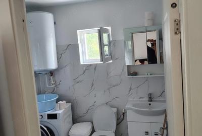 Casă cu 1 camere cu Teren 6517 Mp în Negrești