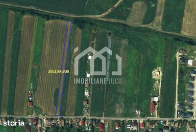 Teren de 2900 mp, în Jucu