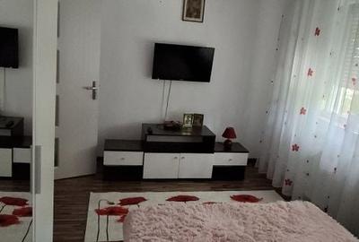 Apartament cu 2 camere semidecomandat în Rovine