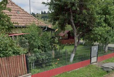 Casă cu Teren 7800 Mp în Sud - 4