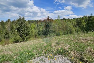 Teren agricol intravilan de 4048 mp, în Periferie - 8