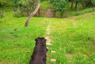 Casă în Buștenari
