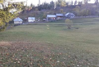 Teren de 13700 mp, în Nereju - 6