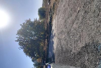 Teren de 710 mp, în Drumul Taberei - 1