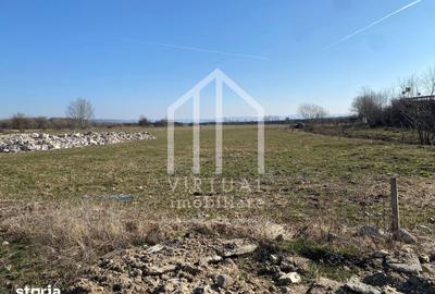 Teren de 16310 mp, în Șura Mică - 2