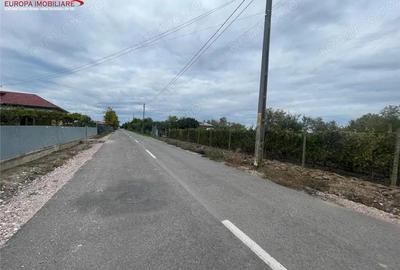 Teren de 1000 mp, în Iazurile - 13