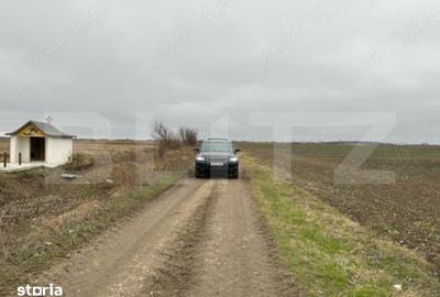 Teren de 15500 mp, în Vânătorii Mici