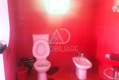 Casă cu 5 camere cu Teren 1786 Mp în Central