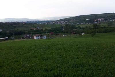 Teren de 4039 mp, în Borhanci - 8