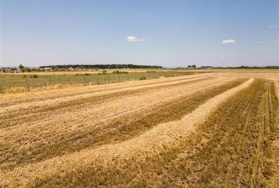 Teren intravilan de 3000 mp, în Nojorid - 5