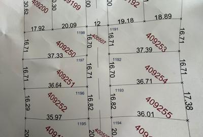 Teren de 606 mp, în Peciu Nou - 1