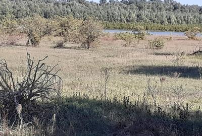 Teren Construcții intravilan de 10000 mp, în Murighiol - 7