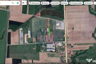 Teren de 11404 mp, în Biharia - 2
