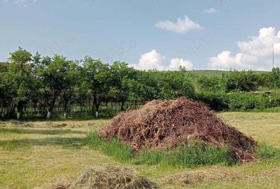 Teren de 2000 mp, în Dărmănești - 1