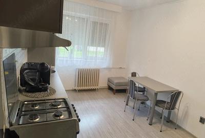 Apartament cu 2 camere nedecomandat în Nufărul - 9