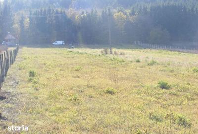 Teren de 10800 mp, în Căpușu Mare - 2