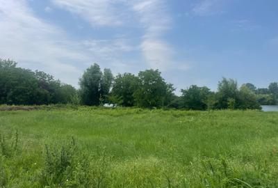 Teren agricol intravilan de 740 mp, în Dămăroaia - 6