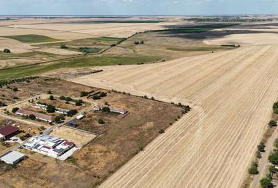 Teren Construcții intravilan de 90000 mp, în Bărăteaz - 3