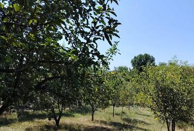 Casă cu 2 camere cu Teren 24 Mp în Răbăgani - 3