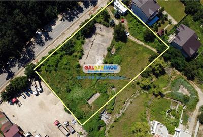 Teren Construcții intravilan de 5000 mp, în Snagov - 24