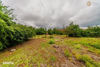 Casă cu 3 camere cu Teren 1786 Mp în Mașloc - 3