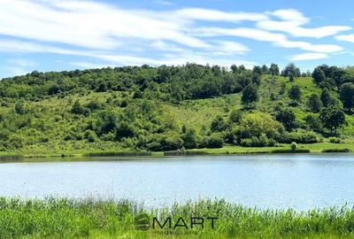 Teren de 3200 mp, în Săcel